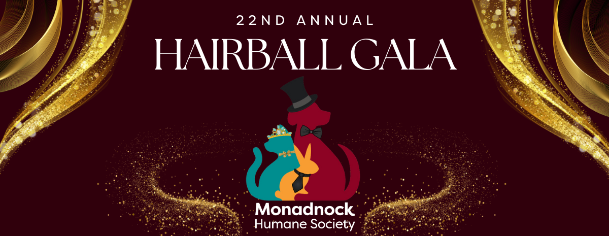 22nd Annual HairBall Gala